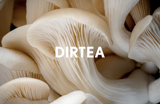 DIRTEA x Selfridges – ‘SUPERMARKET’